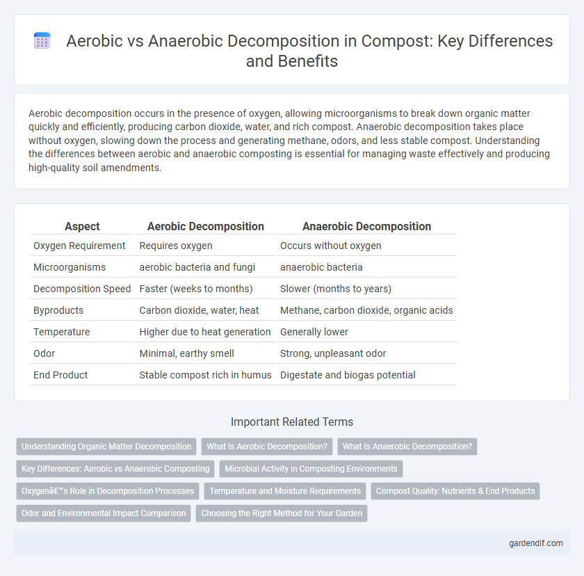 Aerobic vs Anaerobic Decomposition in Compost: Key Differences and Benefits