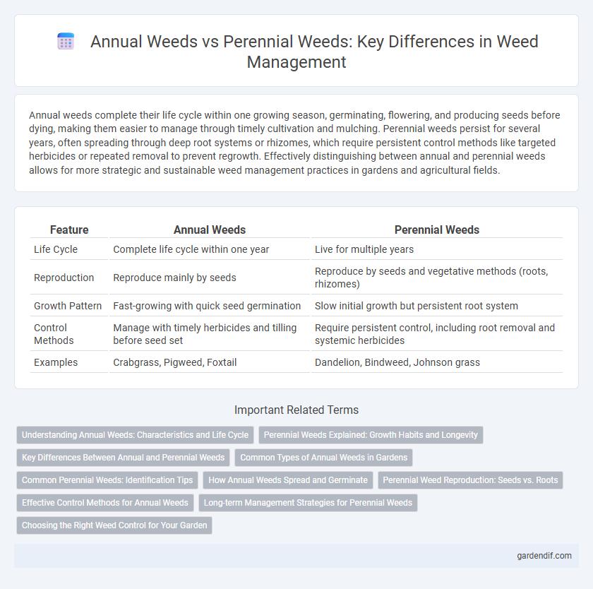 Annual Weeds vs Perennial Weeds: Key Differences in Weed Management