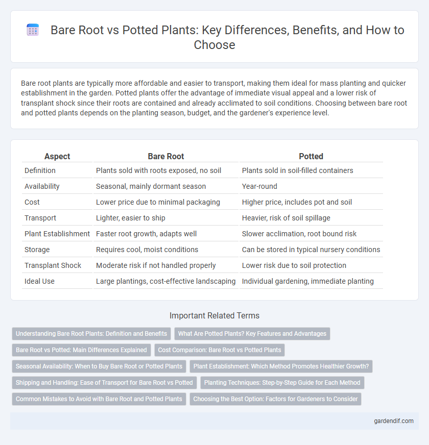 Bare Root vs Potted Plants: Key Differences, Benefits, and How to Choose