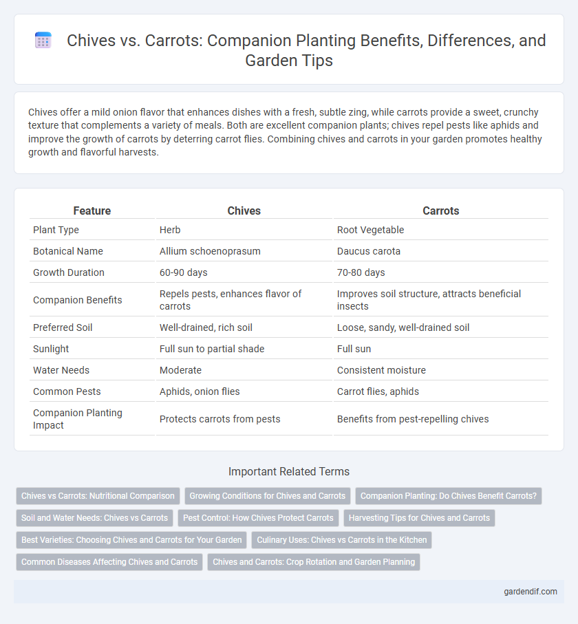 Chives vs. Carrots: Companion Planting Benefits, Differences, and Garden Tips