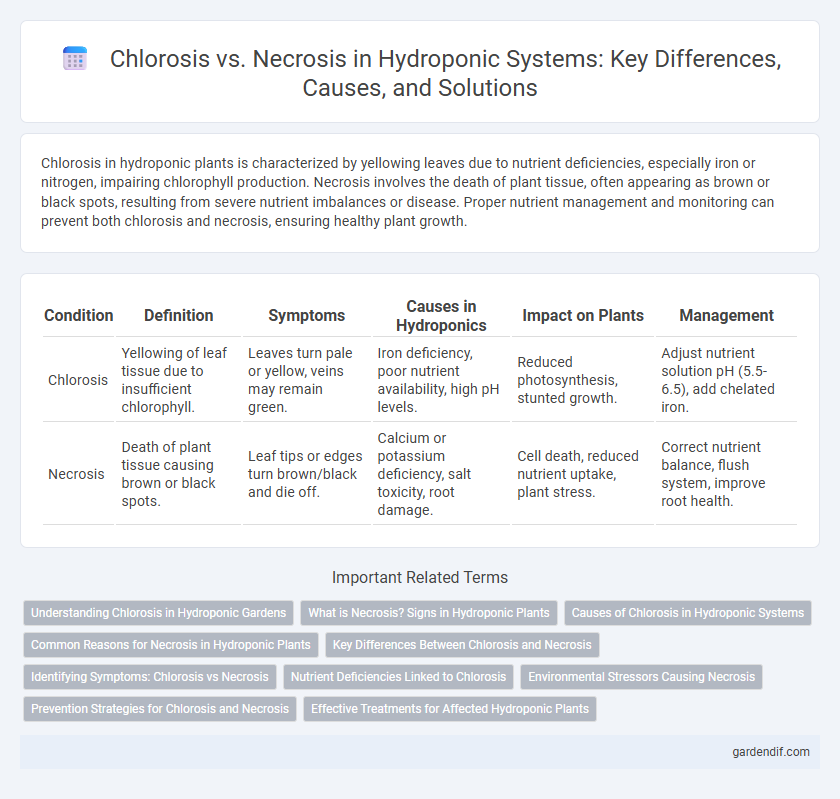 Chlorosis vs. Necrosis in Hydroponic Systems: Key Differences, Causes, and Solutions