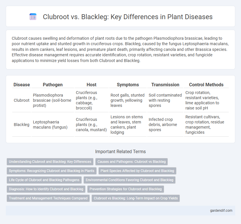 Clubroot vs. Blackleg: Key Differences in Plant Diseases