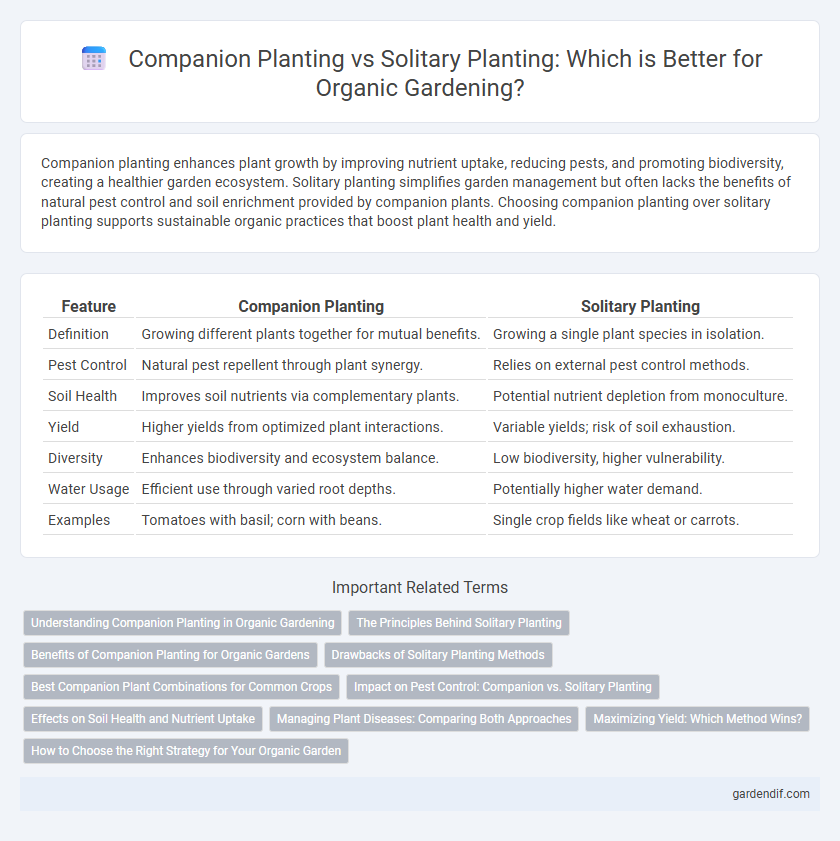 Companion Planting vs Solitary Planting: Which is Better for Organic Gardening?