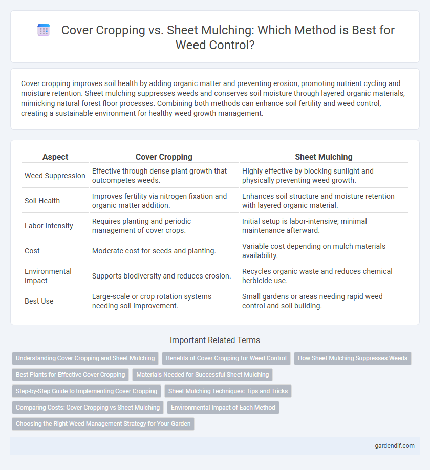 Cover Cropping vs. Sheet Mulching: Which Method is Best for Weed Control?