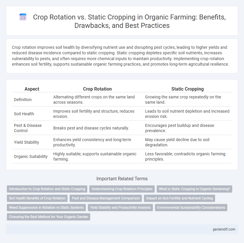 Crop Rotation vs. Static Cropping in Organic Farming: Benefits, Drawbacks, and Best Practices