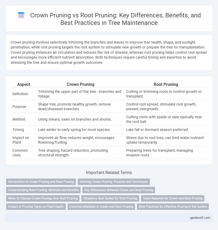 Crown Pruning vs Root Pruning: Key Differences, Benefits, and Best Practices in Tree Maintenance