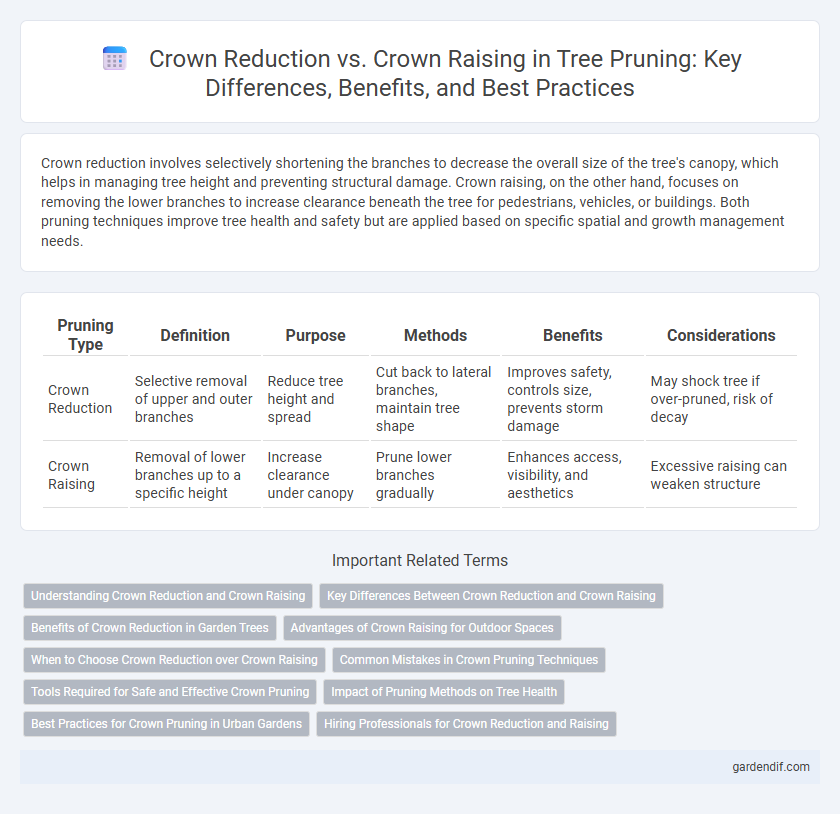 Crown Reduction vs. Crown Raising in Tree Pruning: Key Differences, Benefits, and Best Practices