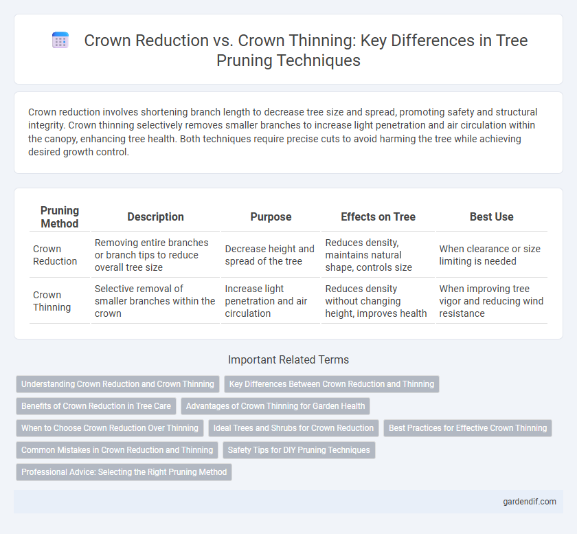 Crown Reduction vs. Crown Thinning: Key Differences in Tree Pruning Techniques