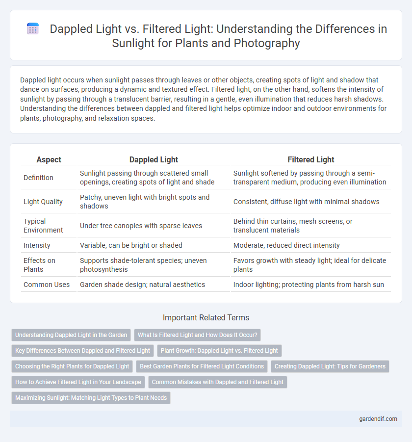 Dappled Light vs. Filtered Light: Understanding the Differences in Sunlight for Plants and Photography