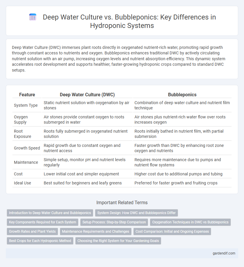 Deep Water Culture vs. Bubbleponics: Key Differences in Hydroponic Systems