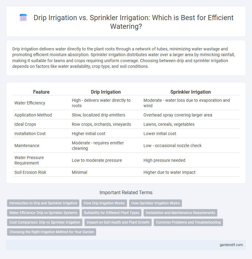 Drip Irrigation vs. Sprinkler Irrigation: Which is Best for Efficient Watering?