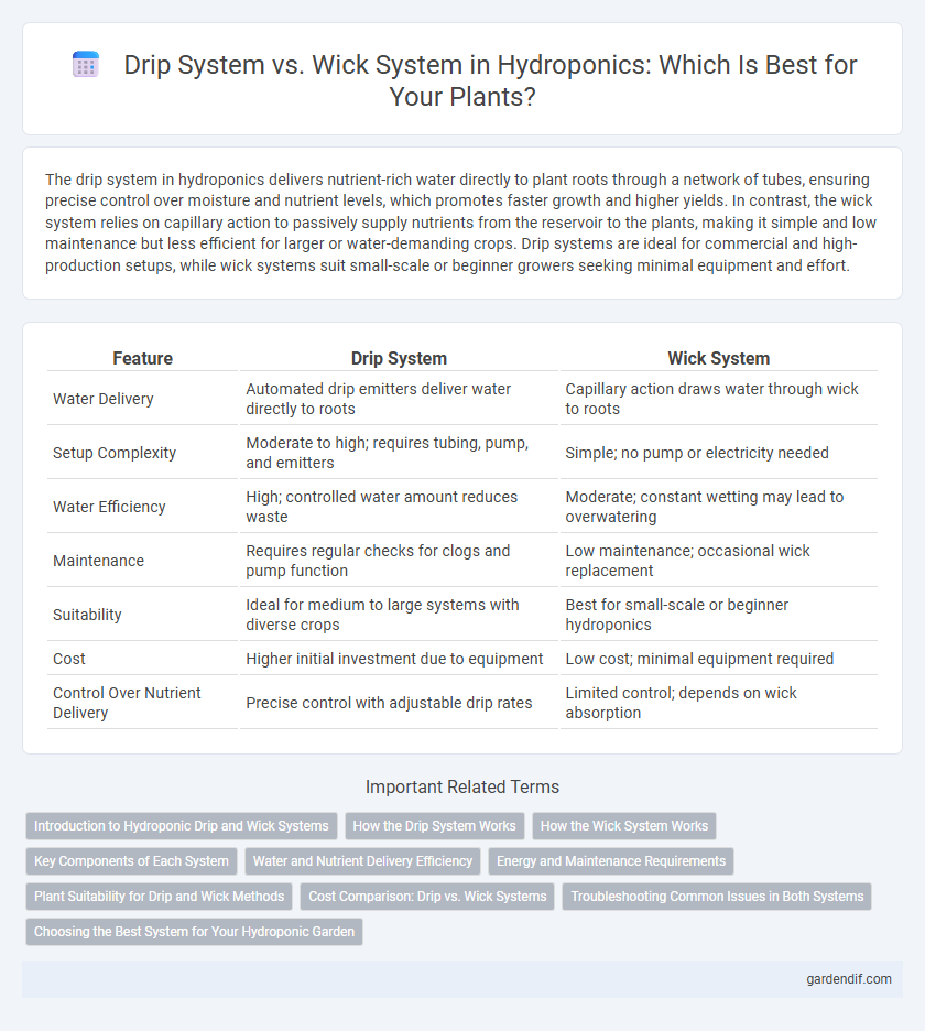 Drip System vs. Wick System in Hydroponics: Which Is Best for Your Plants?