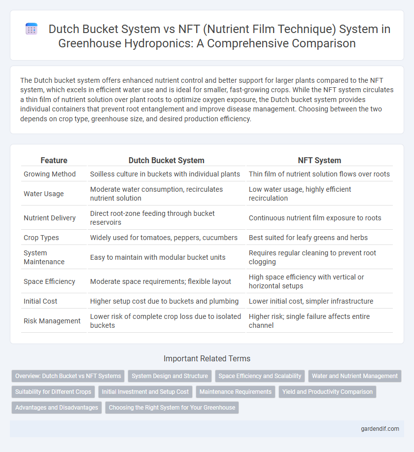 Dutch Bucket System vs NFT (Nutrient Film Technique) System in Greenhouse Hydroponics: A Comprehensive Comparison