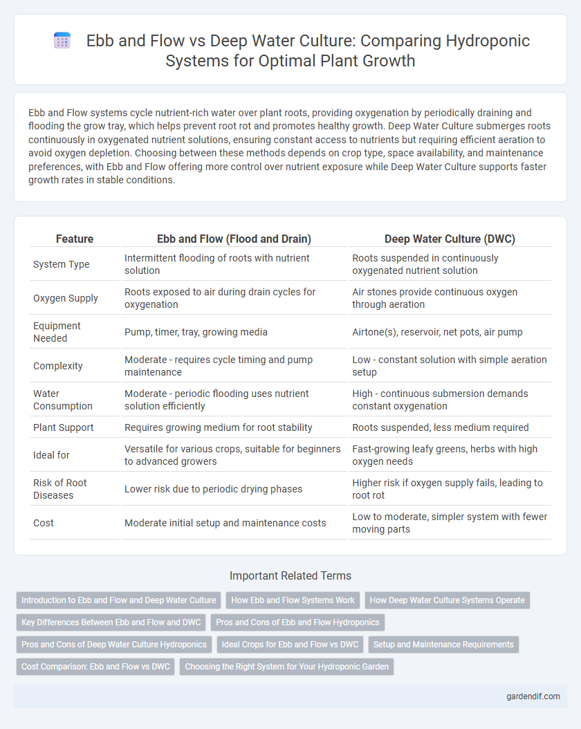 Ebb and Flow vs Deep Water Culture: Comparing Hydroponic Systems for Optimal Plant Growth