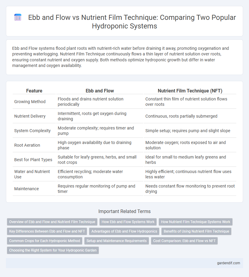 Ebb and Flow vs Nutrient Film Technique: Comparing Two Popular Hydroponic Systems