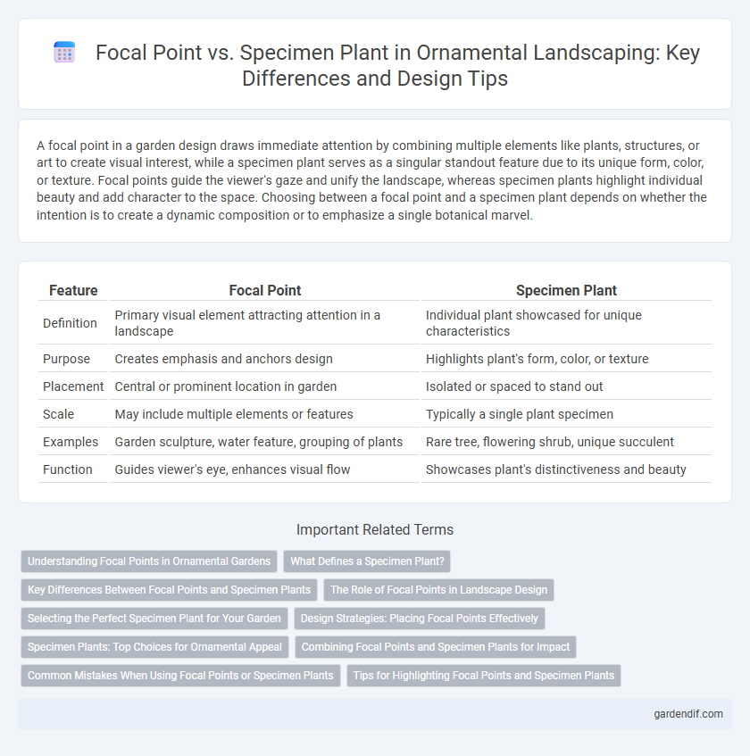 Focal Point vs. Specimen Plant in Ornamental Landscaping: Key Differences and Design Tips