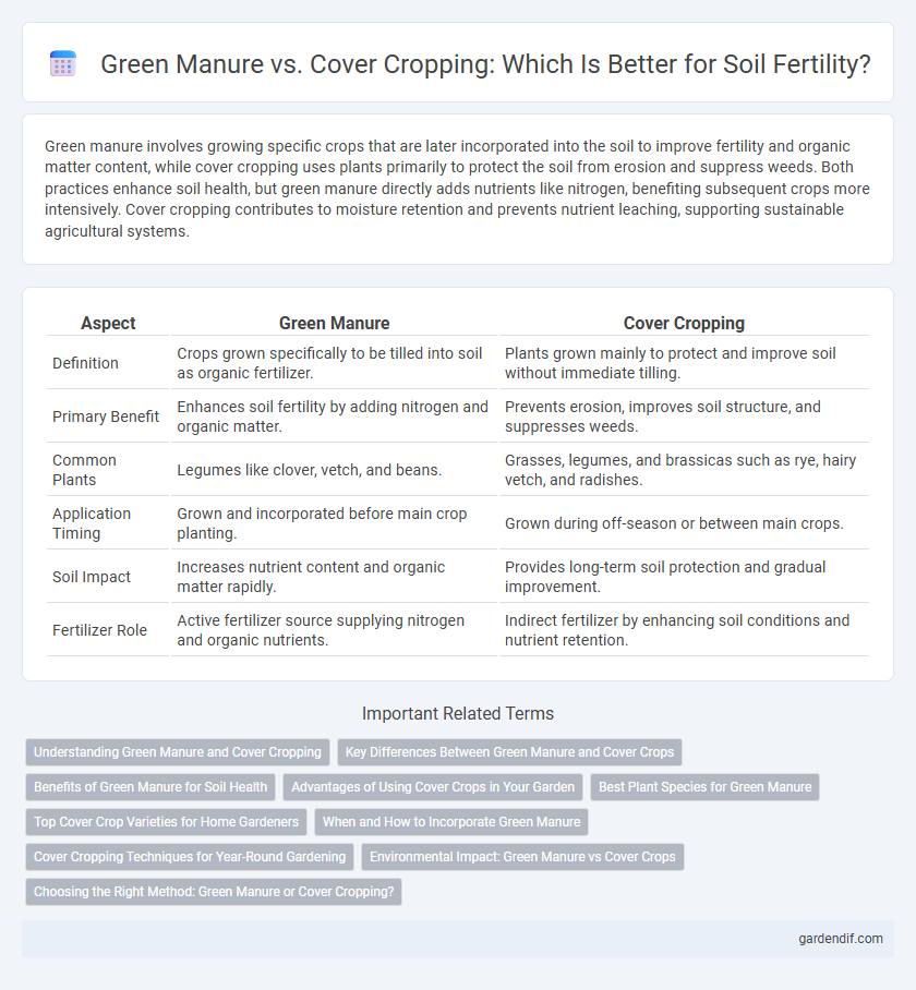 Green Manure vs. Cover Cropping: Which Is Better for Soil Fertility?