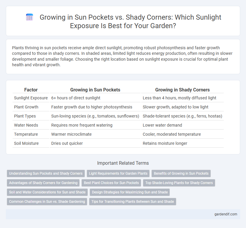Growing in Sun Pockets vs. Shady Corners: Which Sunlight Exposure Is Best for Your Garden?