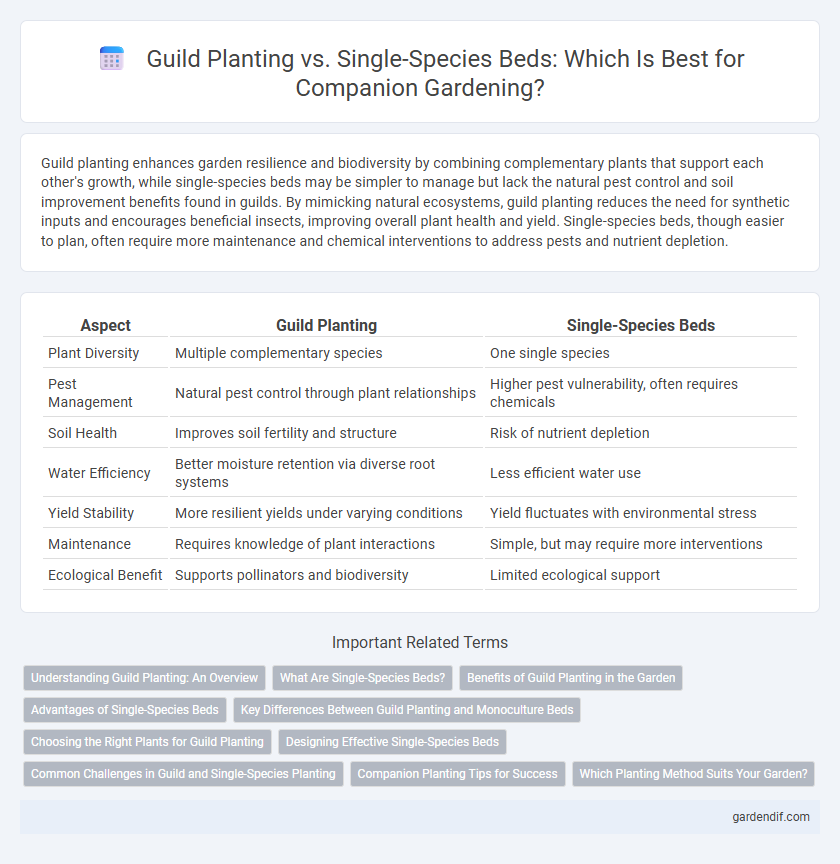 Guild Planting vs. Single-Species Beds: Which Is Best for Companion Gardening?