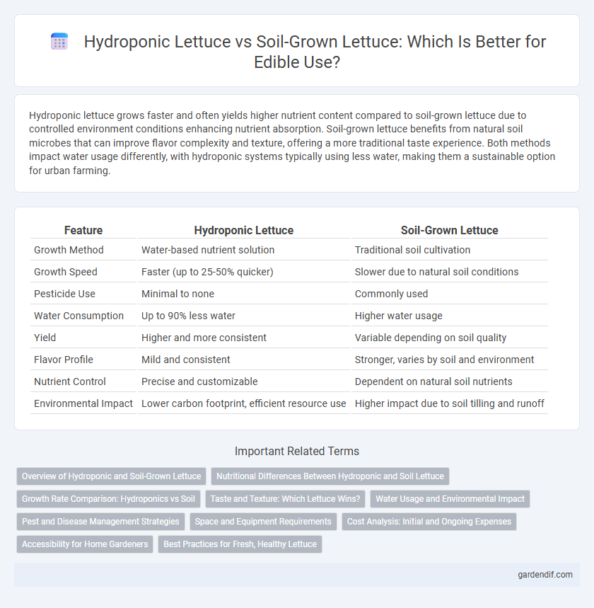 Hydroponic Lettuce vs Soil-Grown Lettuce: Which Is Better for Edible Use?