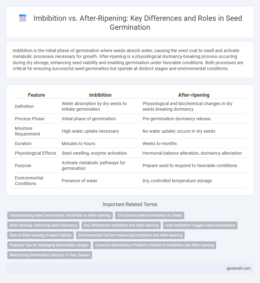 Imbibition vs. After-Ripening: Key Differences and Roles in Seed Germination