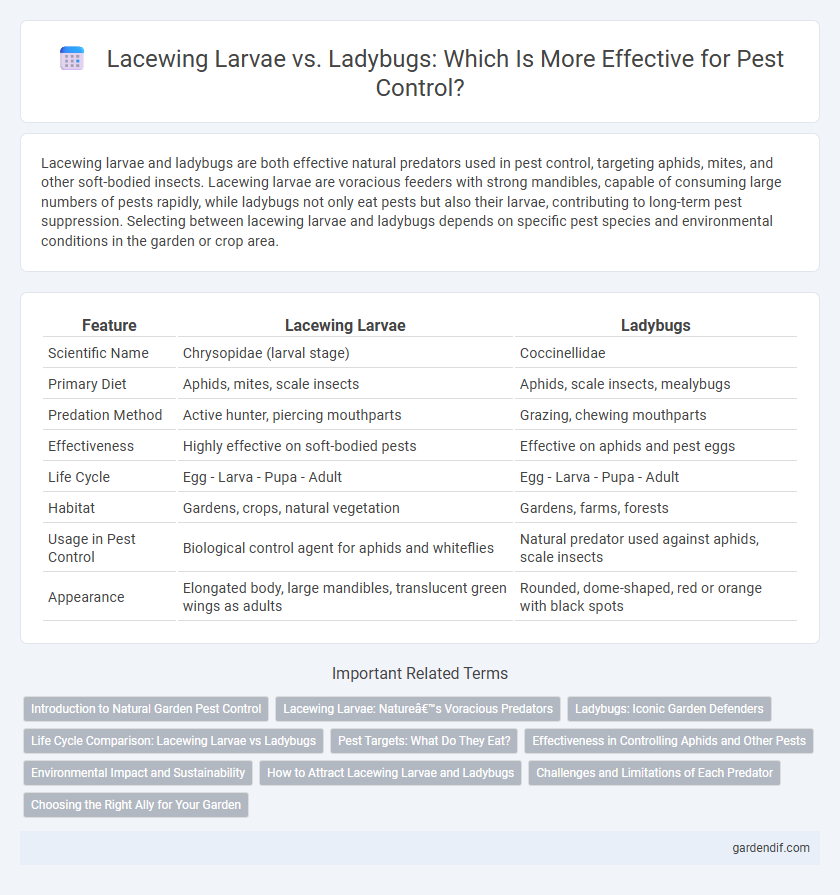 Lacewing Larvae vs. Ladybugs: Which Is More Effective for Pest Control?