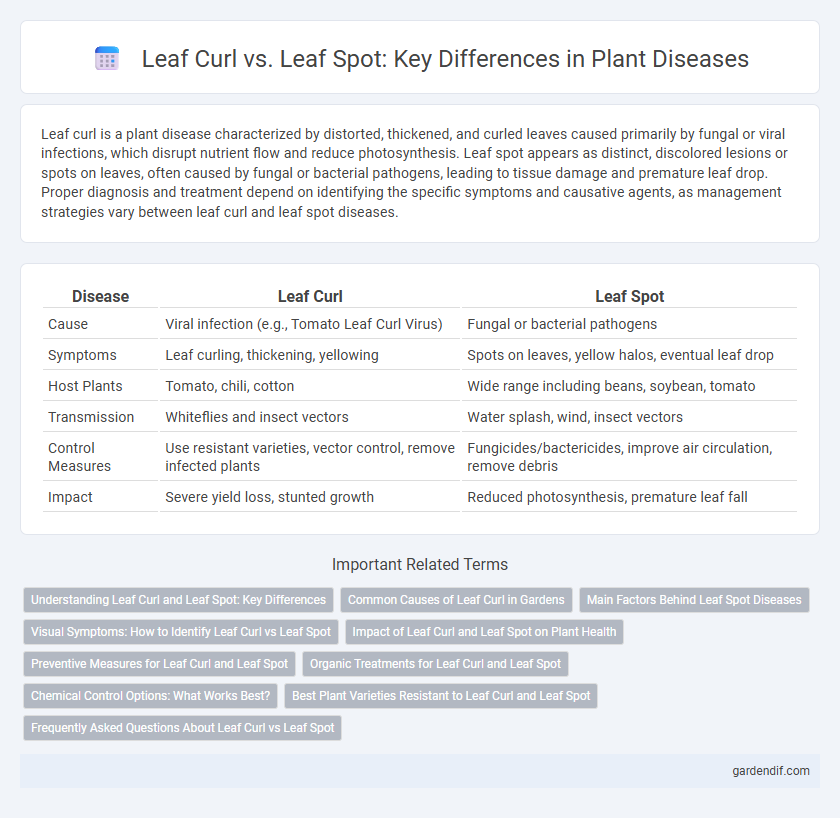 Leaf Curl vs. Leaf Spot: Key Differences in Plant Diseases