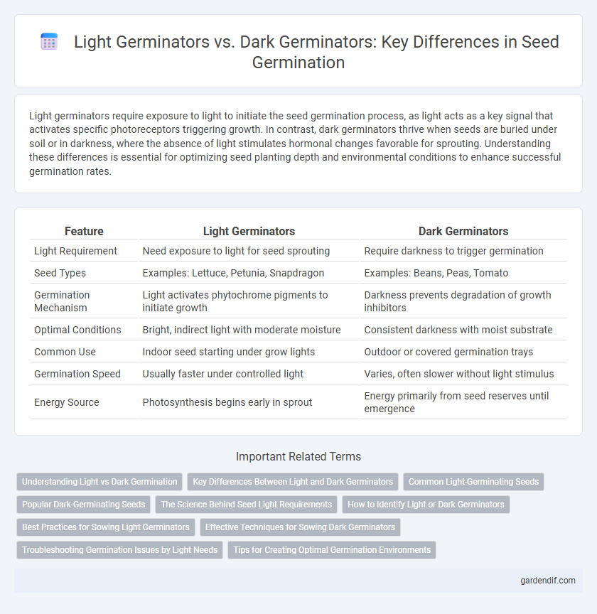 Light Germinators vs. Dark Germinators: Key Differences in Seed Germination