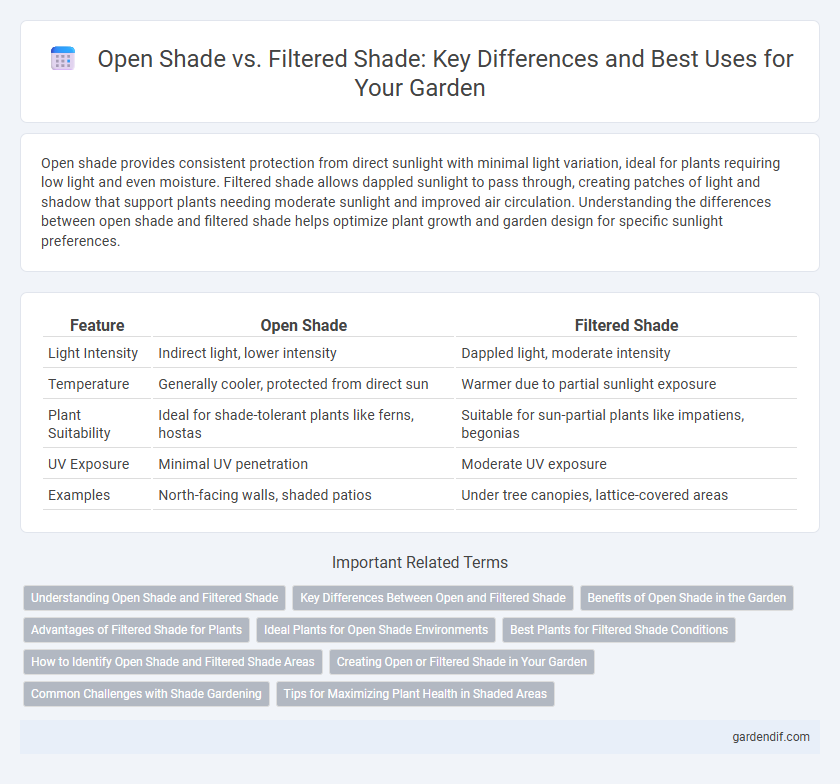 Open Shade vs. Filtered Shade: Key Differences and Best Uses for Your Garden