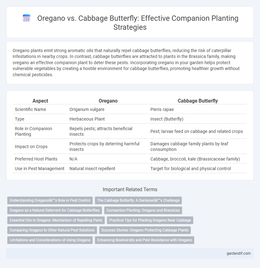 Oregano vs. Cabbage Butterfly: Effective Companion Planting Strategies
