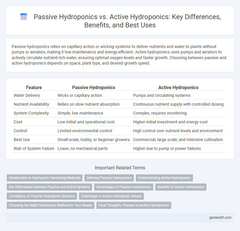 Passive Hydroponics vs. Active Hydroponics: Key Differences, Benefits, and Best Uses