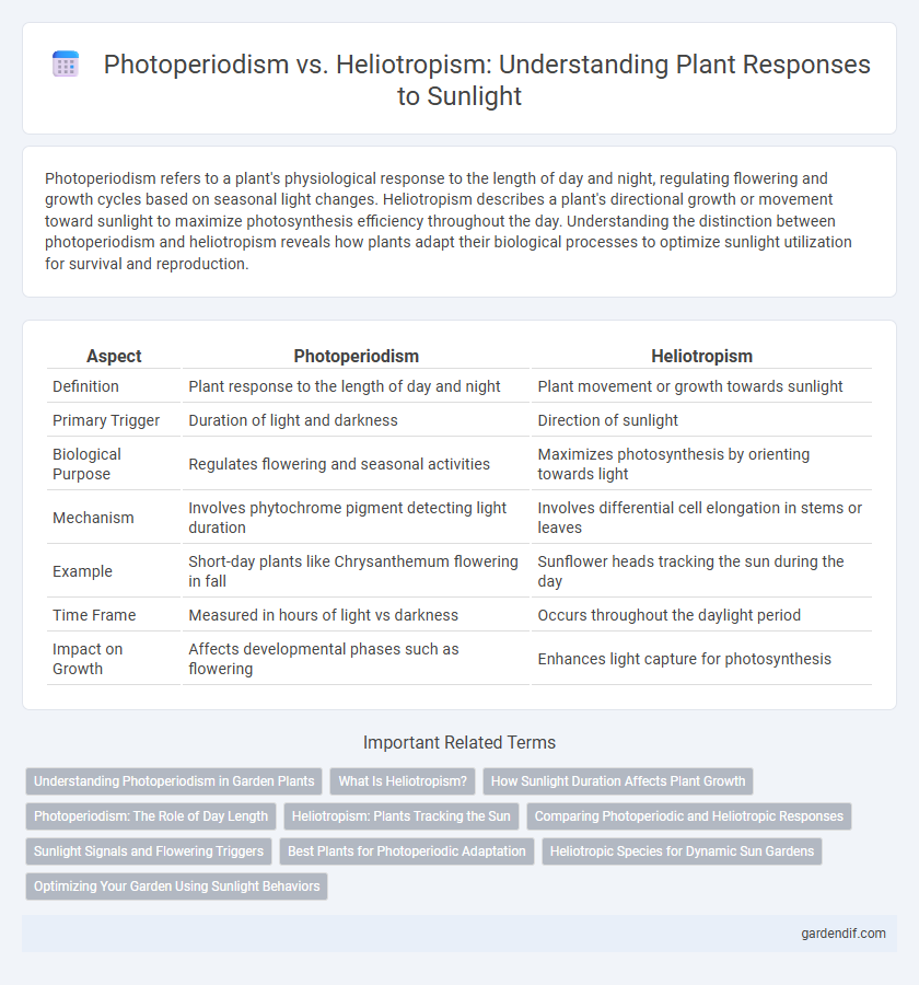 Photoperiodism vs. Heliotropism: Understanding Plant Responses to Sunlight