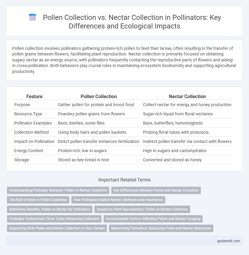 Pollen Collection vs. Nectar Collection in Pollinators: Key Differences and Ecological Impacts