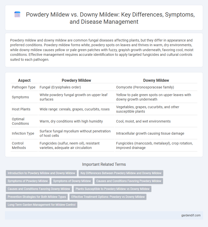 Powdery Mildew vs. Downy Mildew: Key Differences, Symptoms, and Disease Management