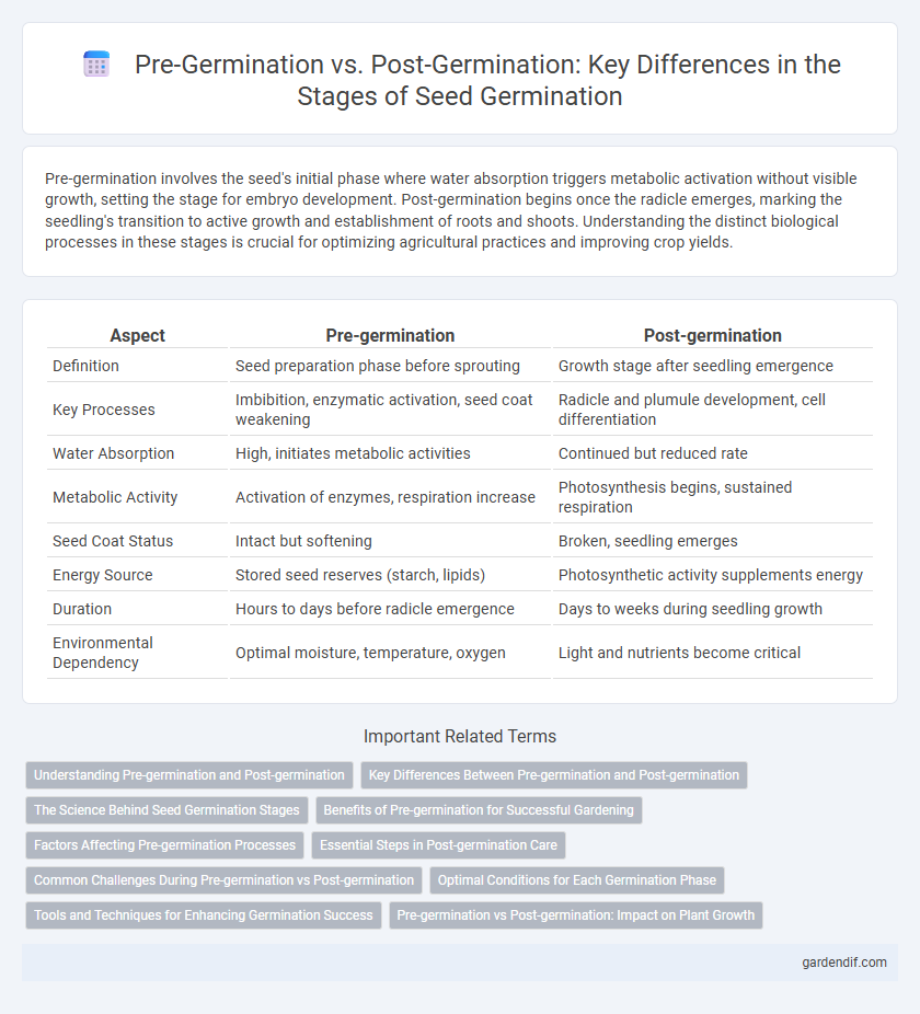 Pre-Germination vs. Post-Germination: Key Differences in the Stages of Seed Germination