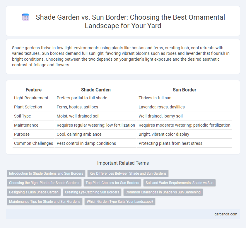 Shade Garden vs. Sun Border: Choosing the Best Ornamental Landscape for Your Yard