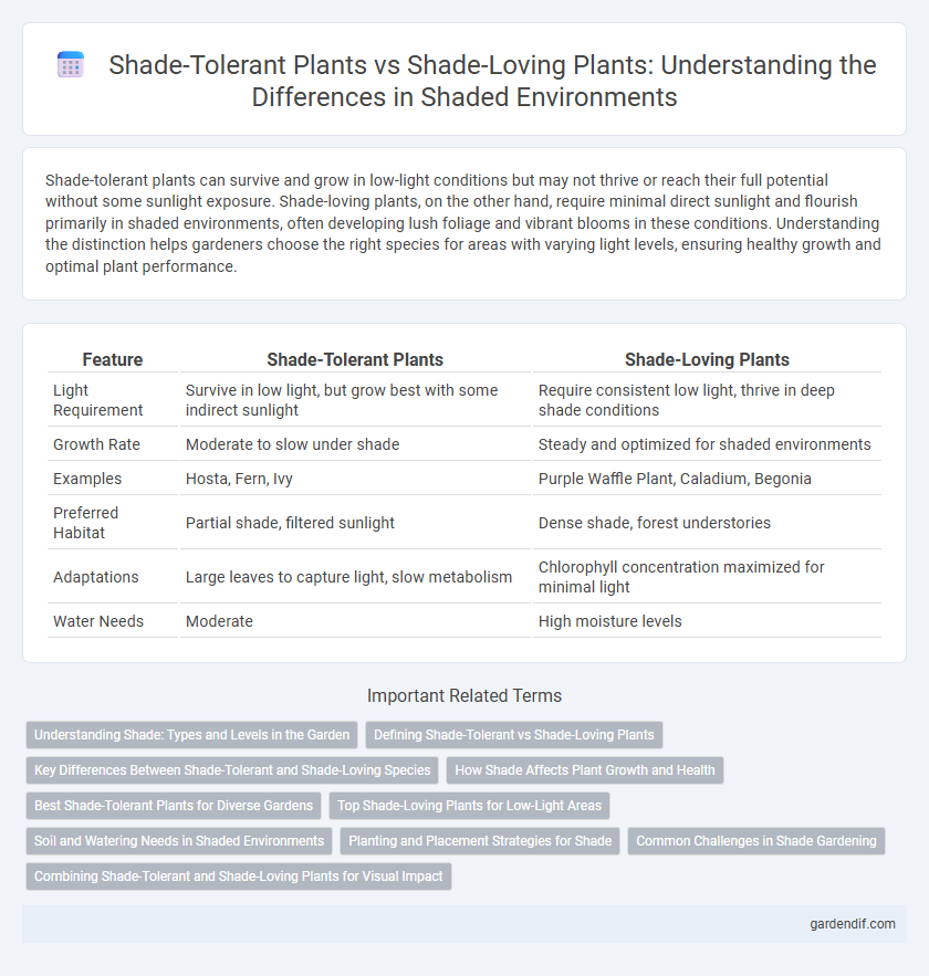 Shade-Tolerant Plants vs Shade-Loving Plants: Understanding the Differences in Shaded Environments