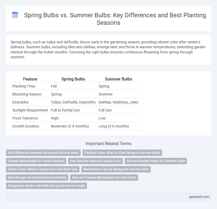 Spring Bulbs vs. Summer Bulbs: Key Differences and Best Planting Seasons