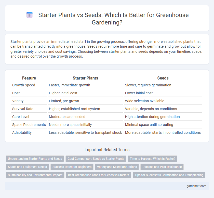 Starter Plants vs Seeds: Which Is Better for Greenhouse Gardening?