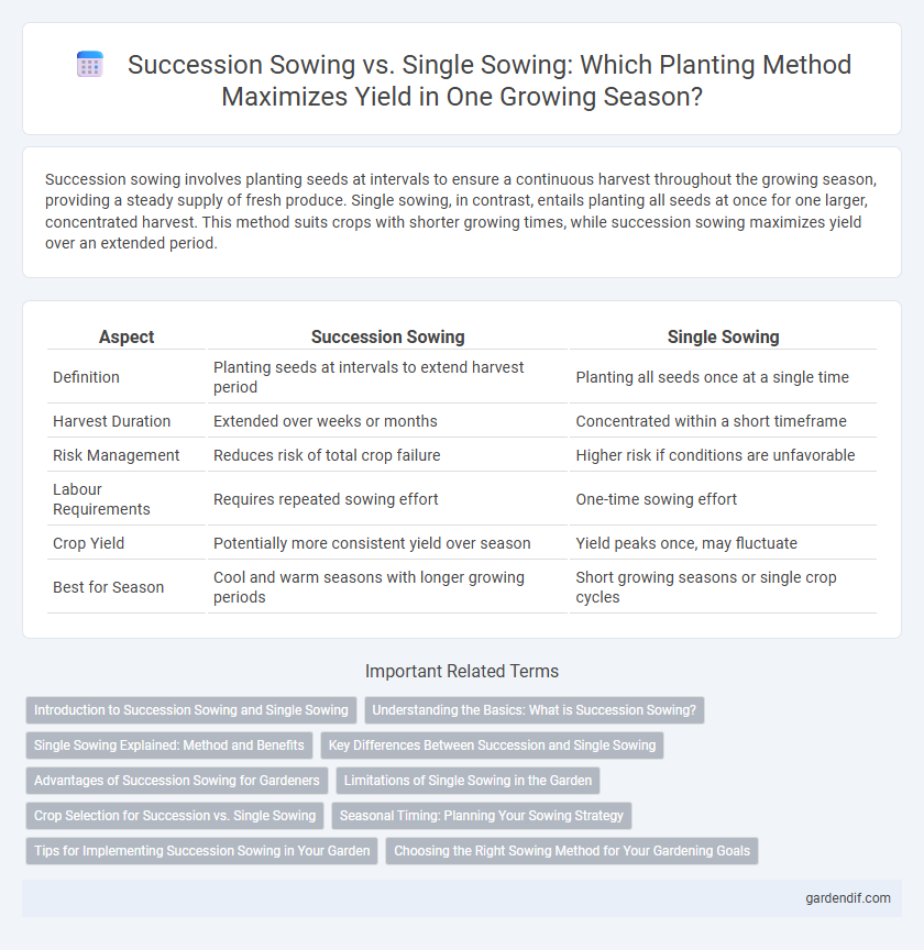 Succession Sowing vs. Single Sowing: Which Planting Method Maximizes Yield in One Growing Season?