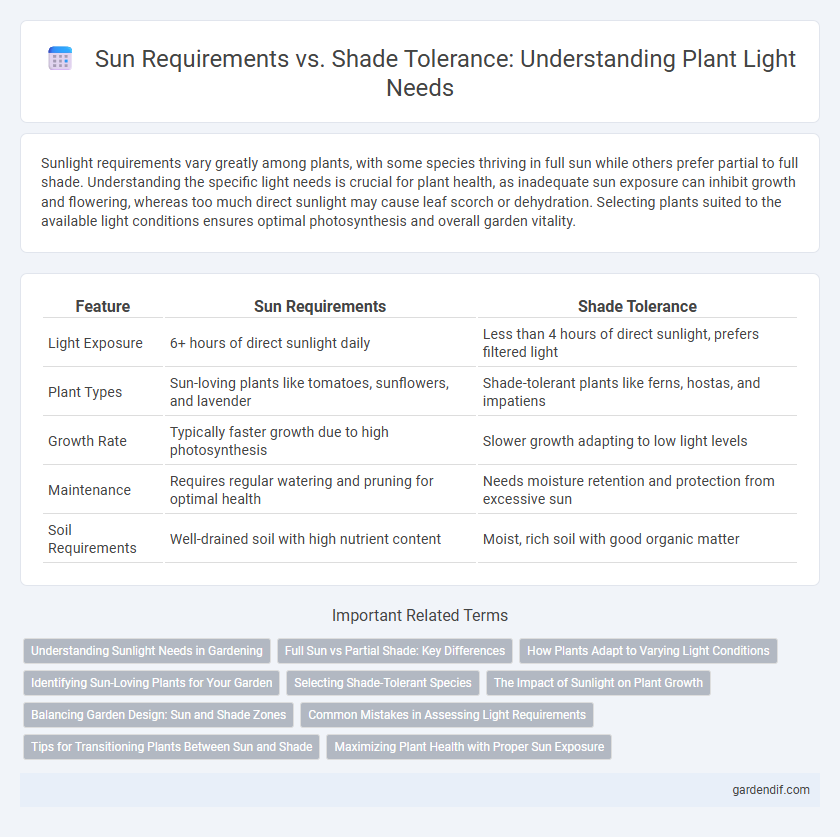 Sun Requirements vs. Shade Tolerance: Understanding Plant Light Needs