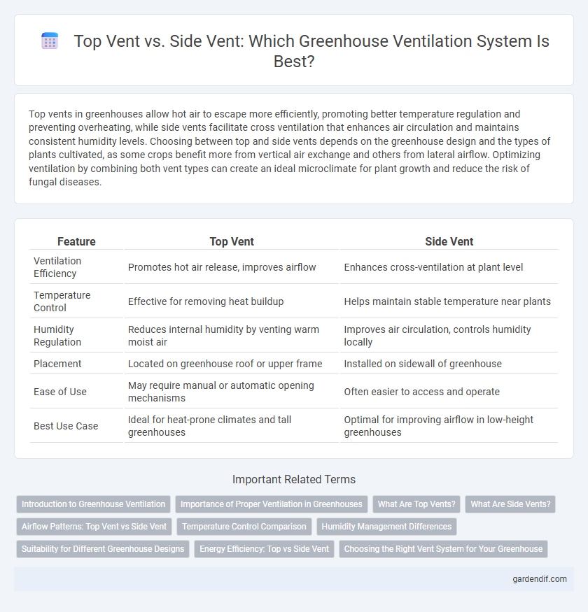 Top Vent vs. Side Vent: Which Greenhouse Ventilation System Is Best?