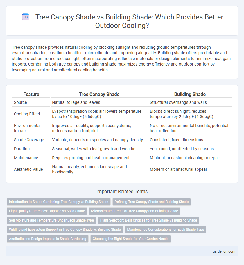 Tree Canopy Shade vs Building Shade: Which Provides Better Outdoor Cooling?