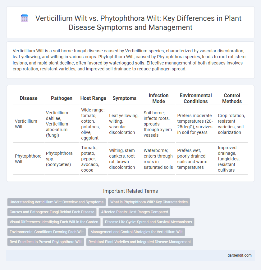 Verticillium Wilt vs. Phytophthora Wilt: Key Differences in Plant Disease Symptoms and Management
