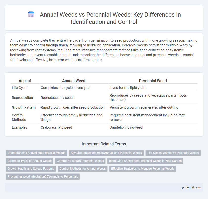 Annual Weeds vs Perennial Weeds: Key Differences in Identification and Control