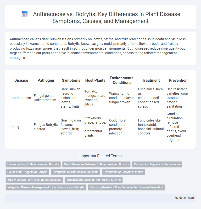 Anthracnose vs. Botrytis: Key Differences in Plant Disease Symptoms, Causes, and Management
