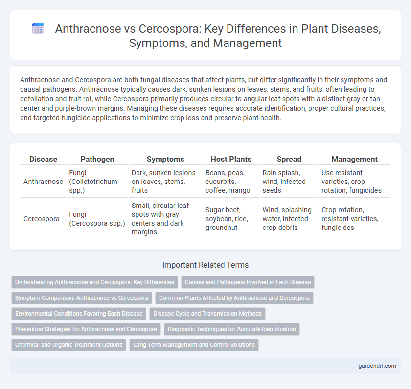 Anthracnose vs Cercospora: Key Differences in Plant Diseases, Symptoms, and Management