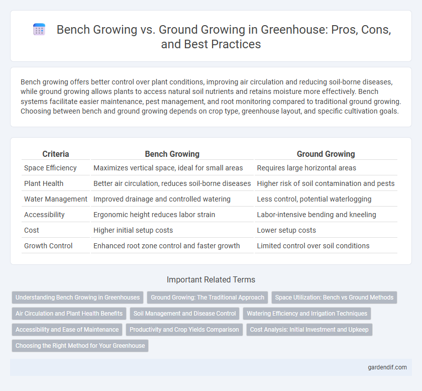 Bench Growing vs. Ground Growing in Greenhouse: Pros, Cons, and Best Practices