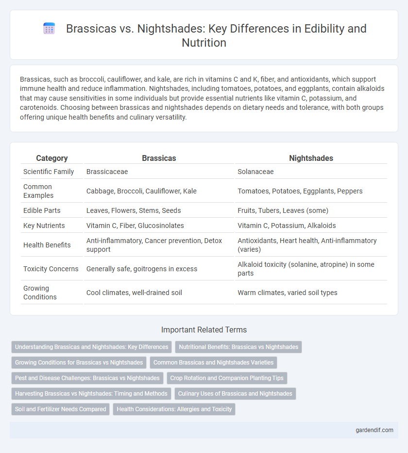 Brassicas vs. Nightshades: Key Differences in Edibility and Nutrition