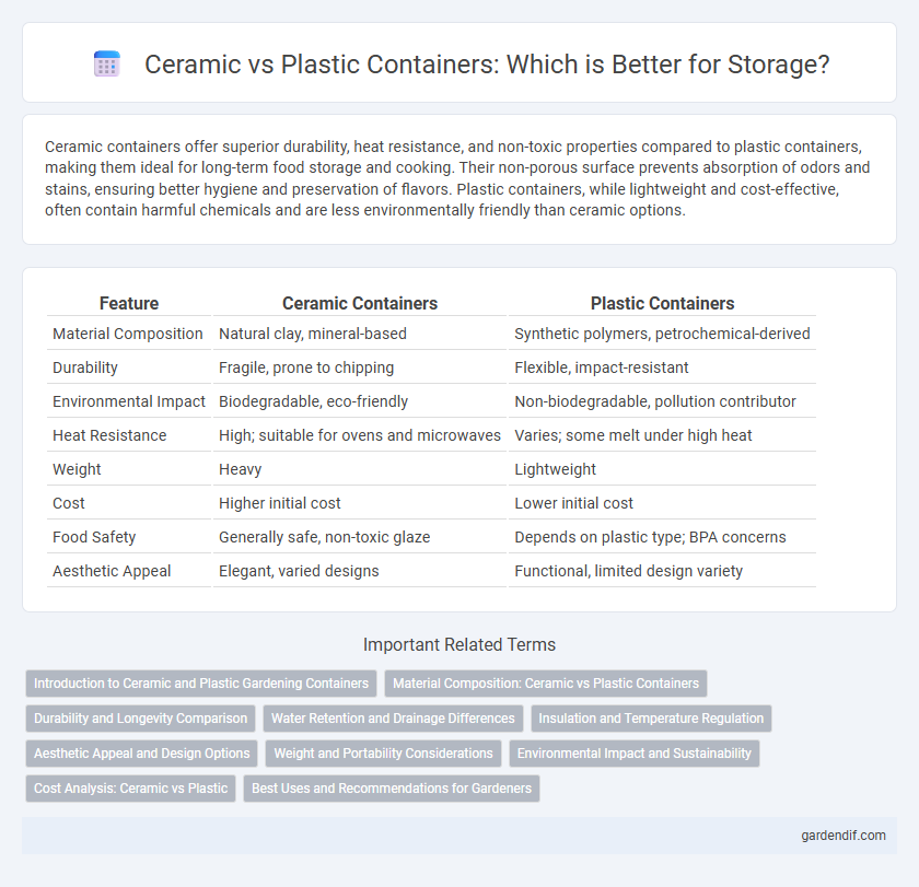 Ceramic vs Plastic Containers: Which is Better for Storage?